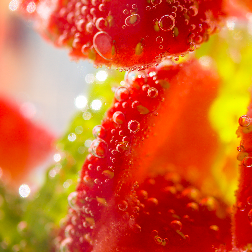 Fruit Paste